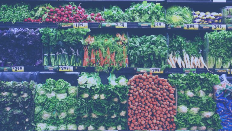 how to save on food costs